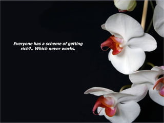 Everyone has a scheme of getting rich?.. Which never works. 