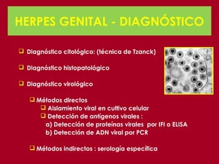HERPES GENITAL - DIAGNÓSTICO

 Diagnóstico citológico: (técnica de Tzanck)

 Diagnóstico histopatológico

 Diagnóstico virológico

    Métodos directos
       Aislamiento viral en cultivo celular
       Detección de antígenos virales :
       a) Detección de proteínas virales por IFI o ELISA
       b) Detección de ADN viral por PCR

    Métodos indirectos : serología específica
 