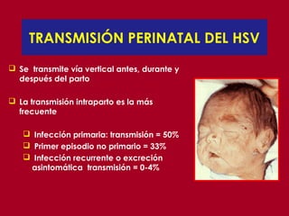 TRANSMISIÓN PERINATAL DEL HSV
 Se transmite vía vertical antes, durante y
  después del parto

 La transmisión intraparto es la más
  frecuente

    Infección primaria: transmisión = 50%
    Primer episodio no primario = 33%
    Infección recurrente o excreción
    asintomática transmisión = 0-4%
 