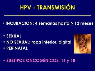 HPV - TRANSMISIÓN

• INCUBACION:   4 semanas hasta > 12 meses


• SEXUAL
• NO SEXUAL: ropa interior, digital
• PERINATAL

• SUBTIPOS ONCOGÉNICOS: 16 y 18
 