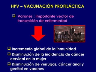 HPV – VACUNACIÓN PROFILÁCTICA

   Varones : importante vector de
    transmisión de enfermedad




 Incremento global de la inmunidad
 Disminución de la incidencia de cáncer
 cervical en la mujer
 Disminución de verrugas, cáncer anal y
 genital en varones
 