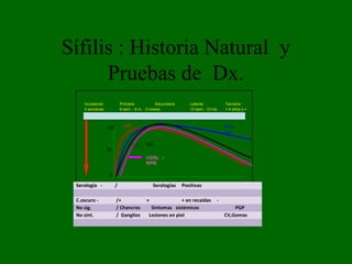 Sífilis : Historia Natural y
      Pruebas de Dx.
    Incubación             Primaria          Secundaria      Latente              Terciaria
    3 semanas              6 sem. - 6 m. 3 meses             12 sem.- 12 ms       1-4 años y +



                            IgM
                 100                                                              FTA-
                                                                                  abs

                                        IgG
                 50
                                        VDRL /
                                        RPR

                  0

 Serología -           /                    Serologías    Positivas

 C.oscuro -            /+               +               + en recaídas         -
 No sig.               / Chancros         Sintomas sistémicos                         PGP
 No sint.              / Ganglios        Lesiones en piel                         CV,Gomas
 