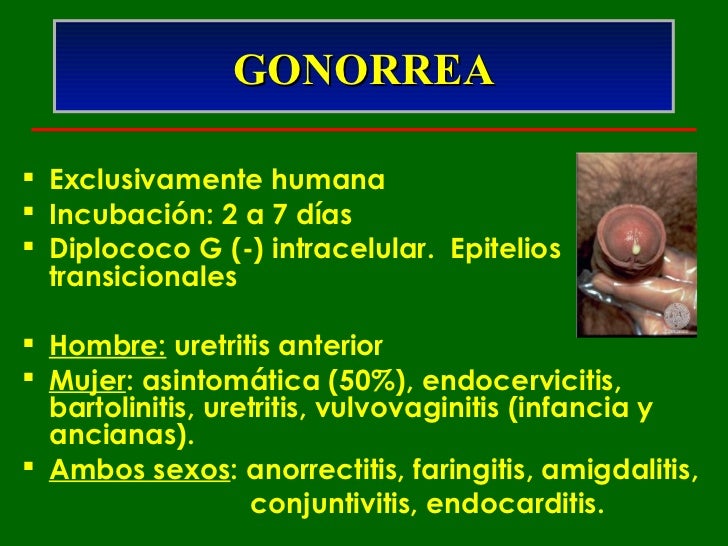 Its 2012 -dr. corti Its 2012 -dr. corti