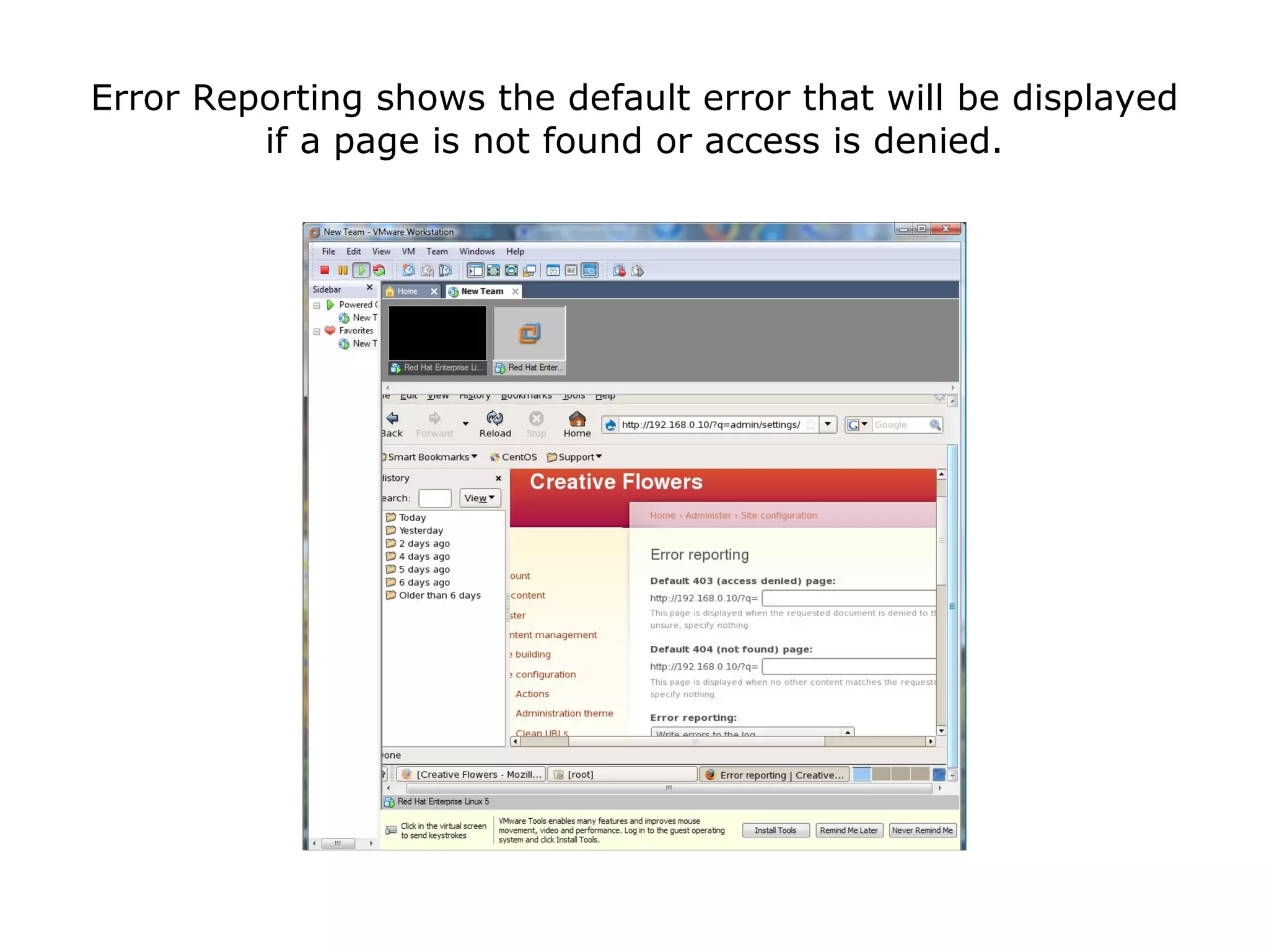 Error Reporting shows the default error that will be displayed if a page is not found or access is denied. 