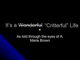 It’s a Wonderful As told through the eyes of A. Marie Brown “ Critterful” Life 