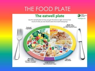 THE FOOD PLATE
 