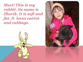 Meet! This is my
rabbit, its name is
Zhorik. It is soft and
fat. It loves carrot
and cabbage.
 