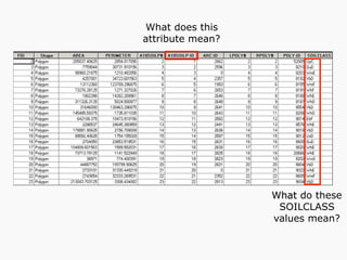 What do these
SOILCLASS
values mean?
What does this
attribute mean?
 