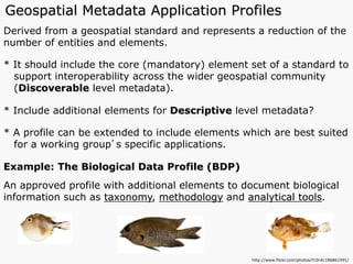 Derived from a geospatial standard and represents a reduction of the
number of entities and elements.
* It should include the core (mandatory) element set of a standard to
support interoperability across the wider geospatial community
(Discoverable level metadata).
* Include additional elements for Descriptive level metadata?
* A profile can be extended to include elements which are best suited
for a working group’s specific applications.
Example: The Biological Data Profile (BDP)
An approved profile with additional elements to document biological
information such as taxonomy, methodology and analytical tools.
http://www.flickr.com/photos/f10n4/186861991/
Geospatial Metadata Application Profiles
 
