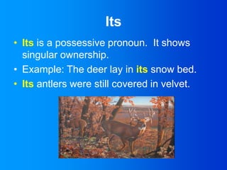 Its and It's | PPTX