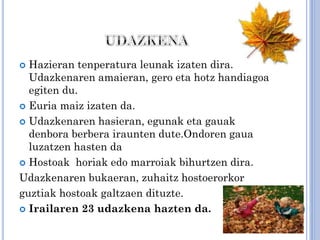 Hazieran tenperatura leunak izaten dira.
Udazkenaren amaieran, gero eta hotz handiagoa
egiten du.
 Euria maiz izaten da.
 Udazkenaren hasieran, egunak eta gauak
denbora berbera iraunten dute.Ondoren gaua
luzatzen hasten da
 Hostoak horiak edo marroiak bihurtzen dira.
Udazkenaren bukaeran, zuhaitz hostoerorkor
guztiak hostoak galtzaen dituzte.
 Irailaren 23 udazkena hazten da.


 
