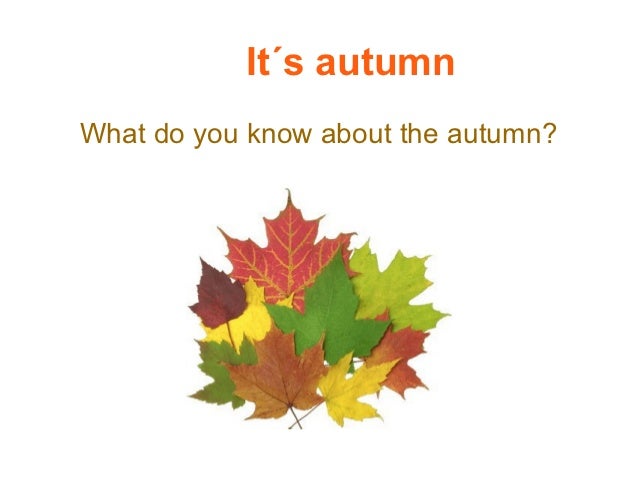 It s autumn