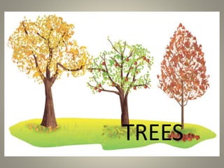 TREES