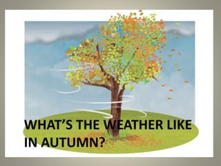 WHAT’S THE WEATHER LIKE
IN AUTUMN?