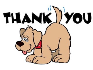 Its cartoon time : Study On Cartoon Channel