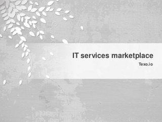 IT services marketplace
Texo.io
 