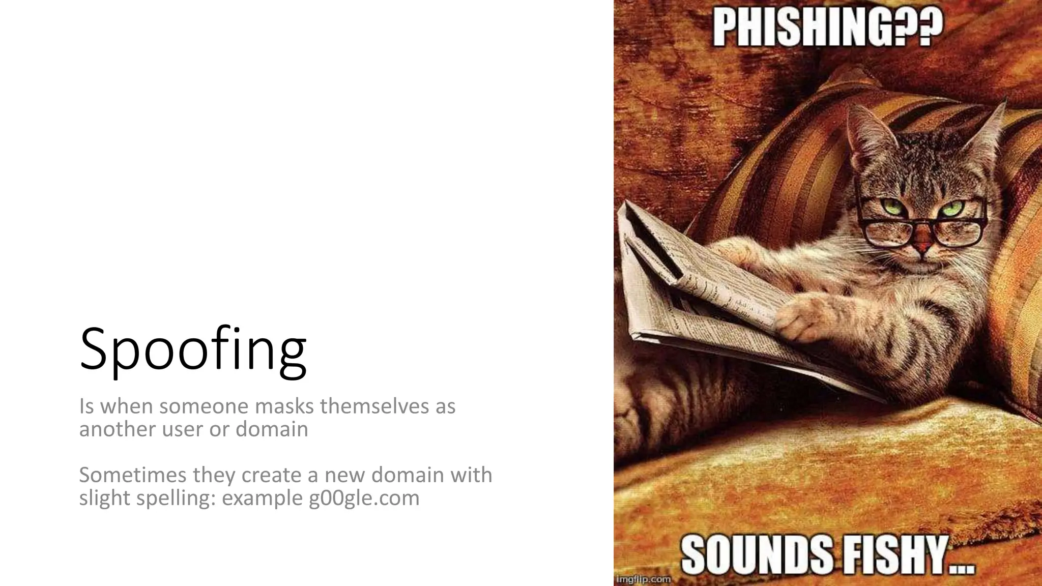 Spoofing
Is when someone masks themselves as
another user or domain
Sometimes they create a new domain with
slight spelling: example g00gle.com
 