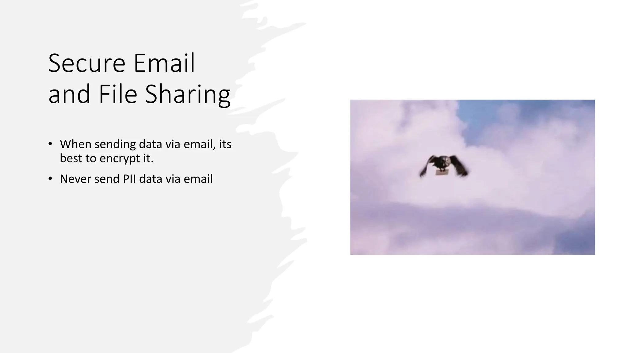 Secure Email
and File Sharing
• When sending data via email, its
best to encrypt it.
• Never send PII data via email
 