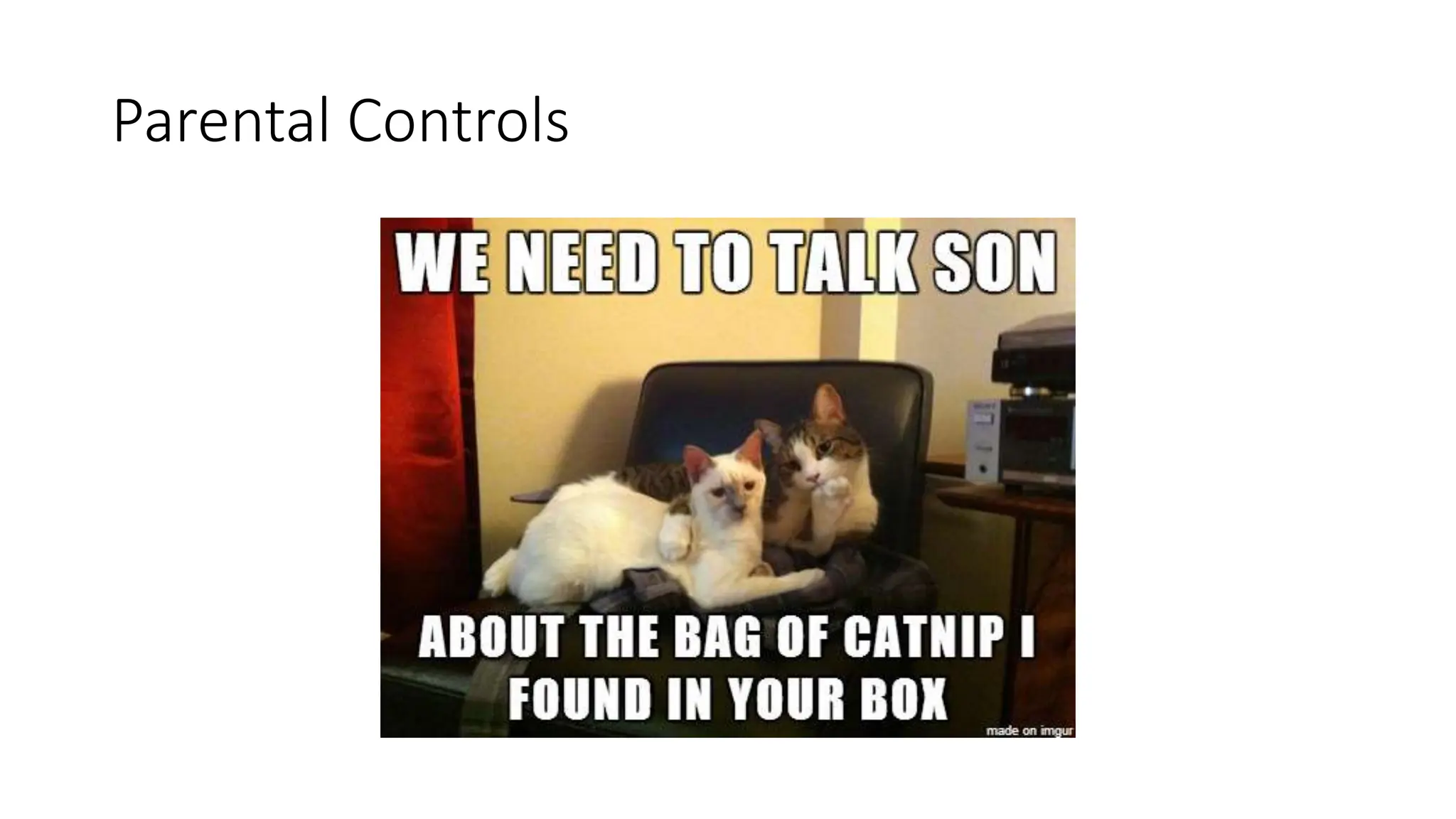 Parental Controls
 