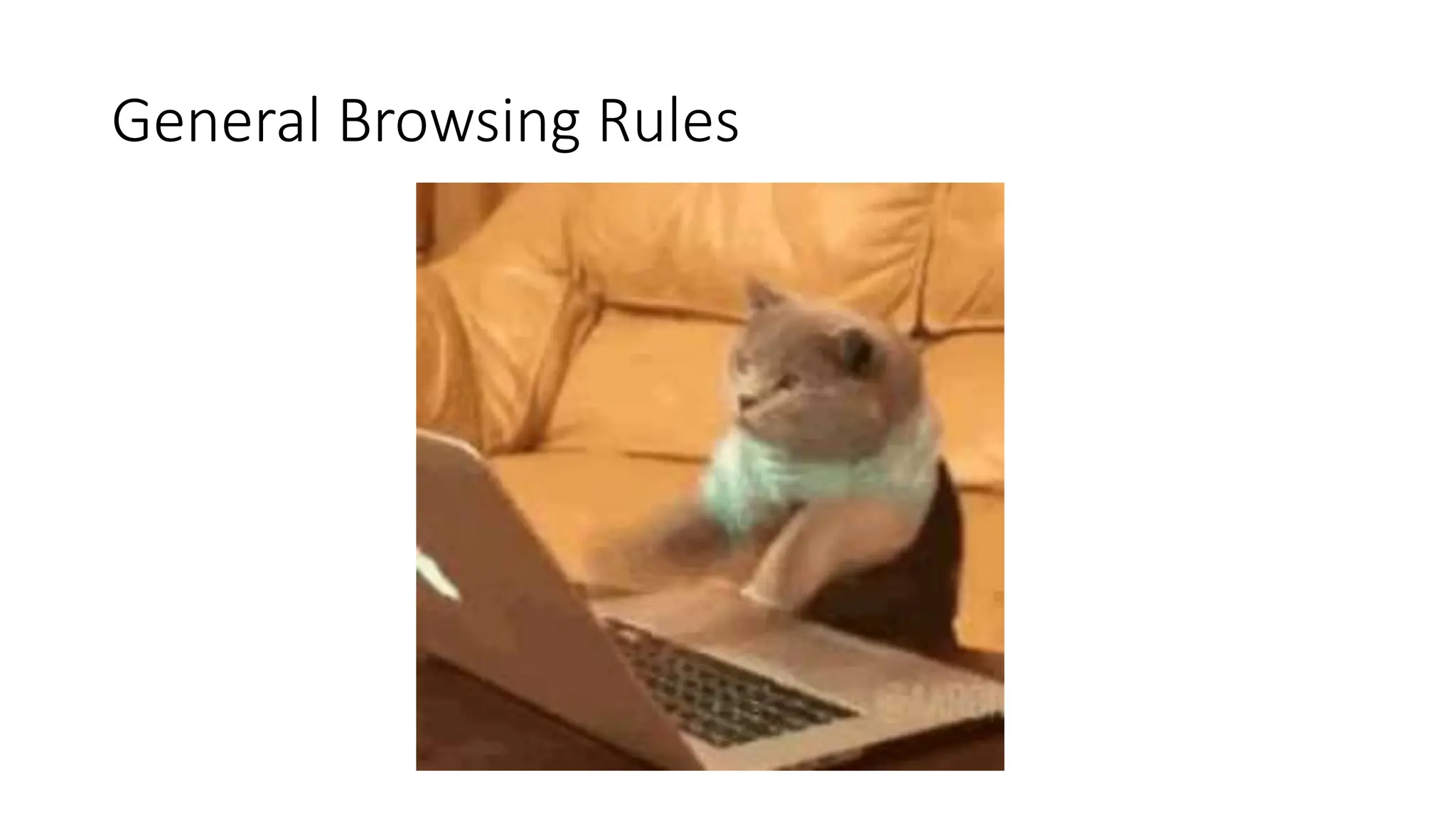General Browsing Rules
 