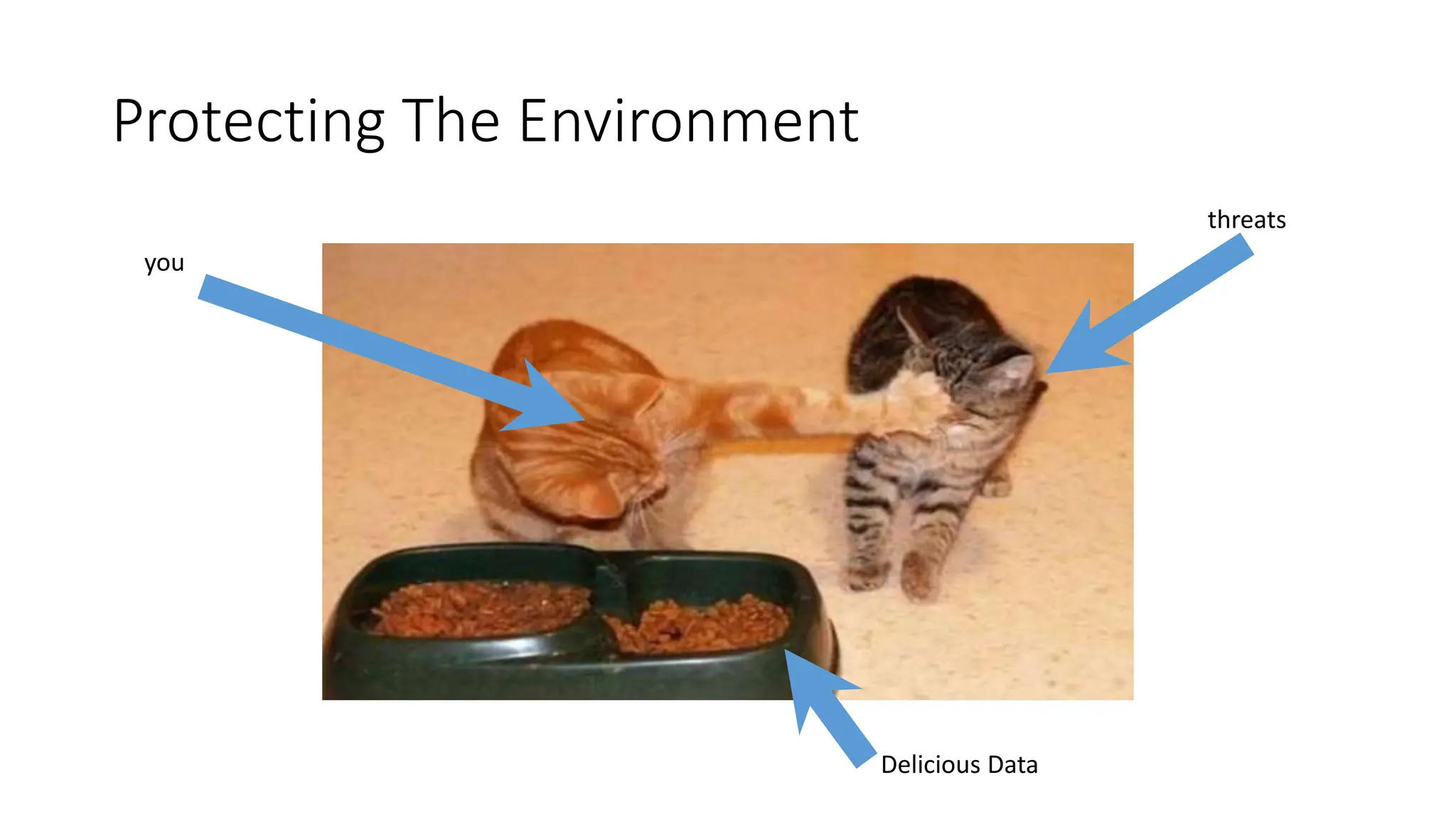 Protecting The Environment
you
threats
Delicious Data
 