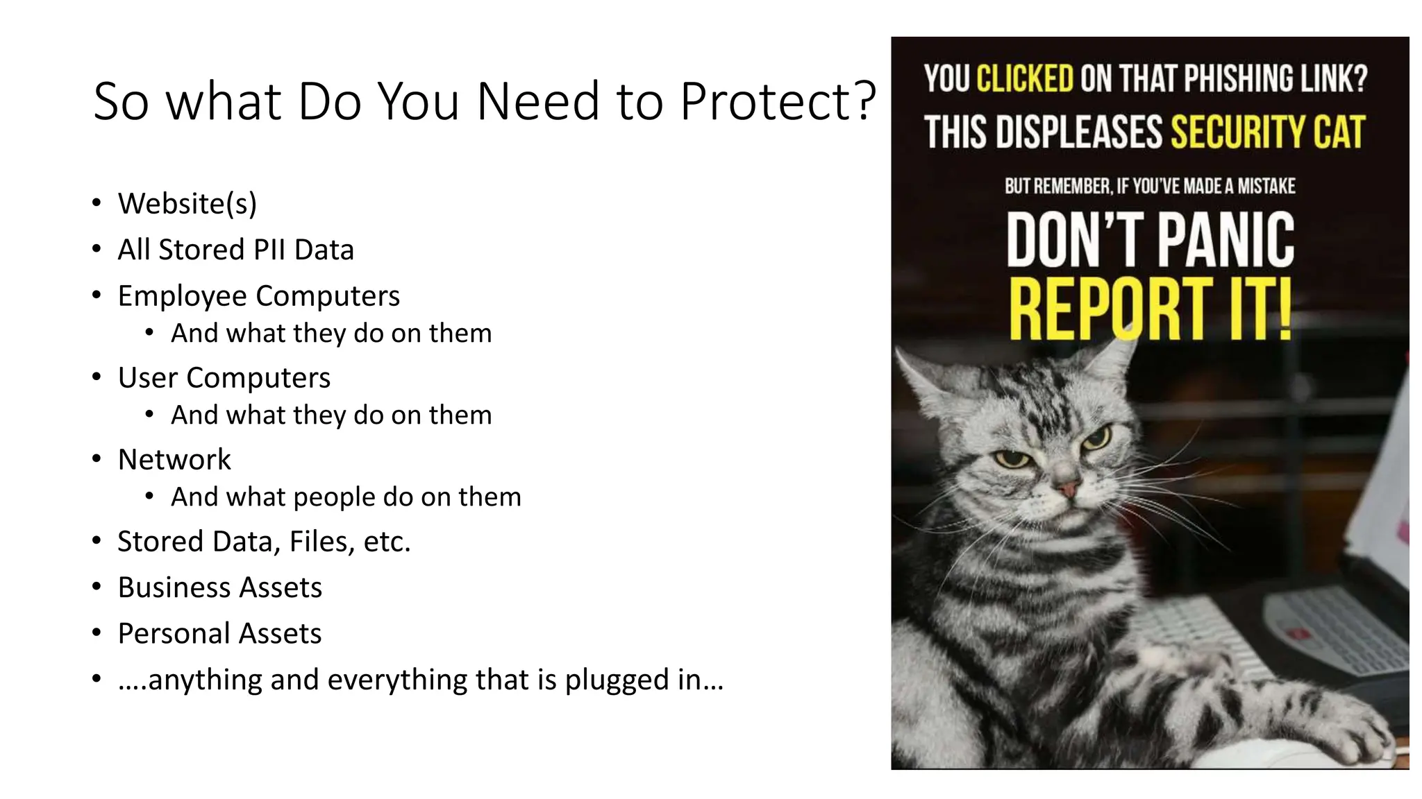 So what Do You Need to Protect?
• Website(s)
• All Stored PII Data
• Employee Computers
• And what they do on them
• User Computers
• And what they do on them
• Network
• And what people do on them
• Stored Data, Files, etc.
• Business Assets
• Personal Assets
• ….anything and everything that is plugged in…
 