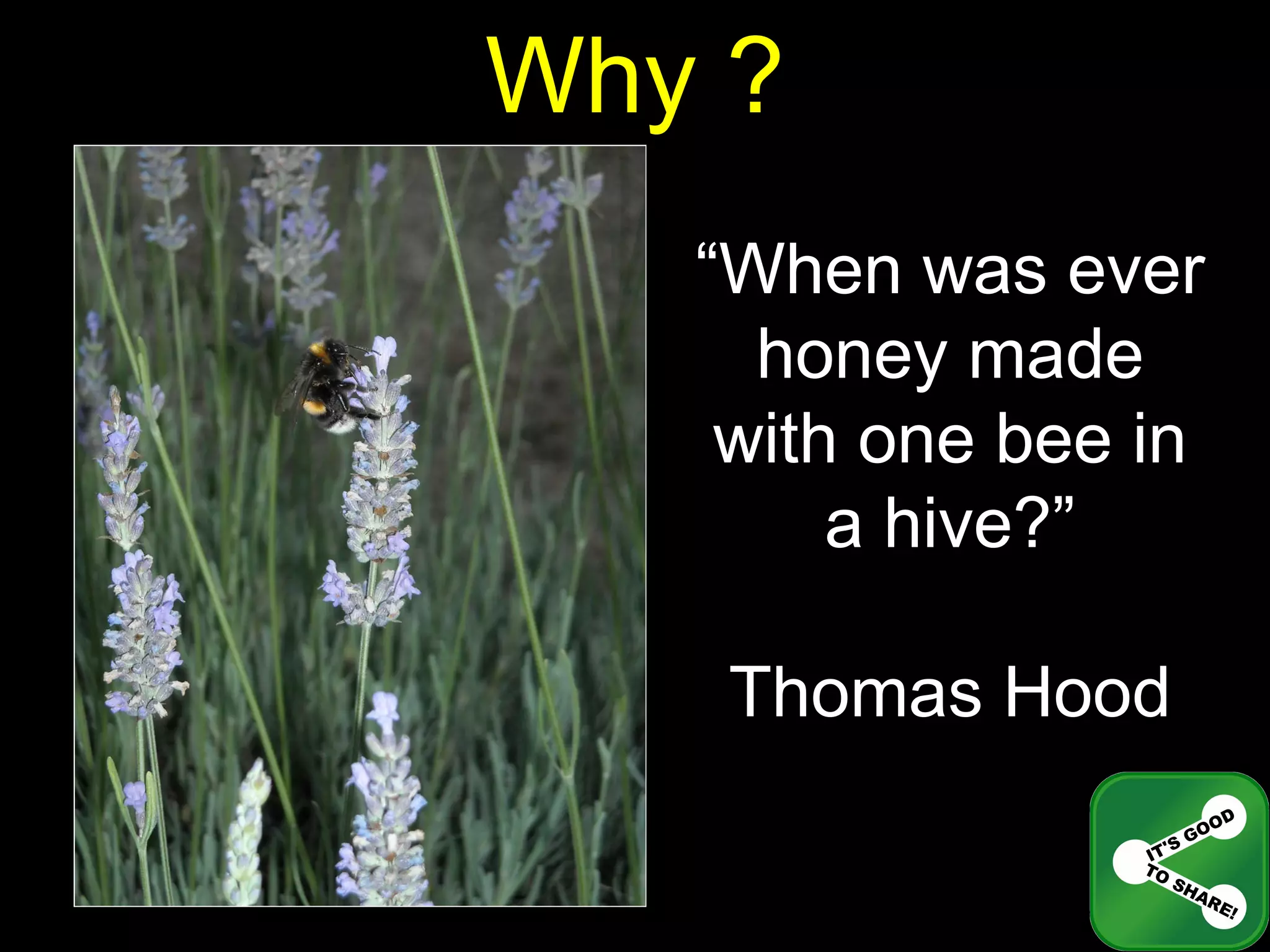 Why ? “ When was ever honey made with one bee in a hive?” Thomas Hood 