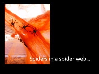 Spiders in a spider web…