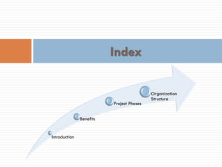 Introduction
Benefits
Project Phases
Organization
Structure
Index
 