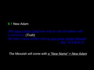 6.1 New Adam
She bore a male Child who was to rule all nations with
a rod of iron (Truth).
He had a name written that no one knew except Himself.
- Rev 12:5 &19:12
The Messiah will come with a "New Name“ = New Adam
 