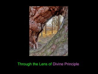 Through the Lens of Divine Principle
 
