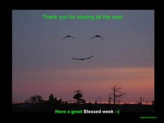 Have a great Blessed week :-)
by Bengt de Paulis
Thank you for staying all the way!
 