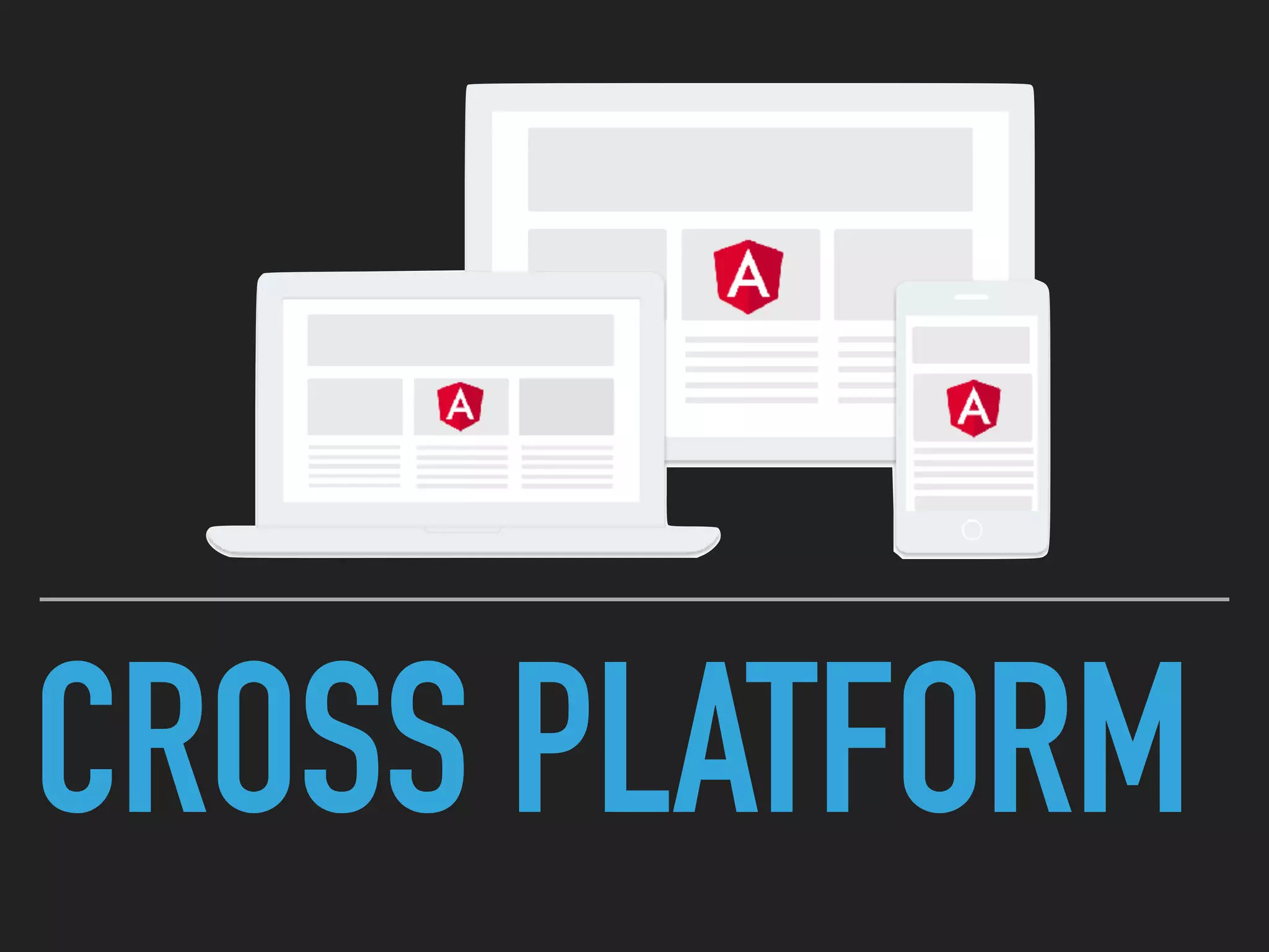 CROSS PLATFORM
 