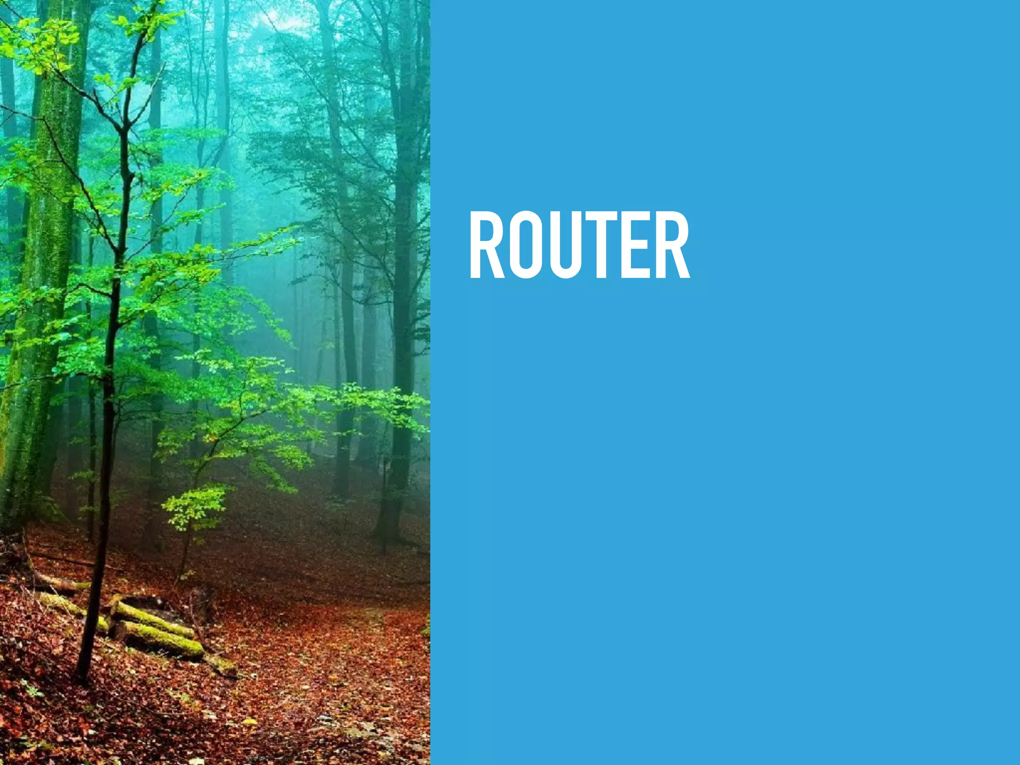 ROUTER
 