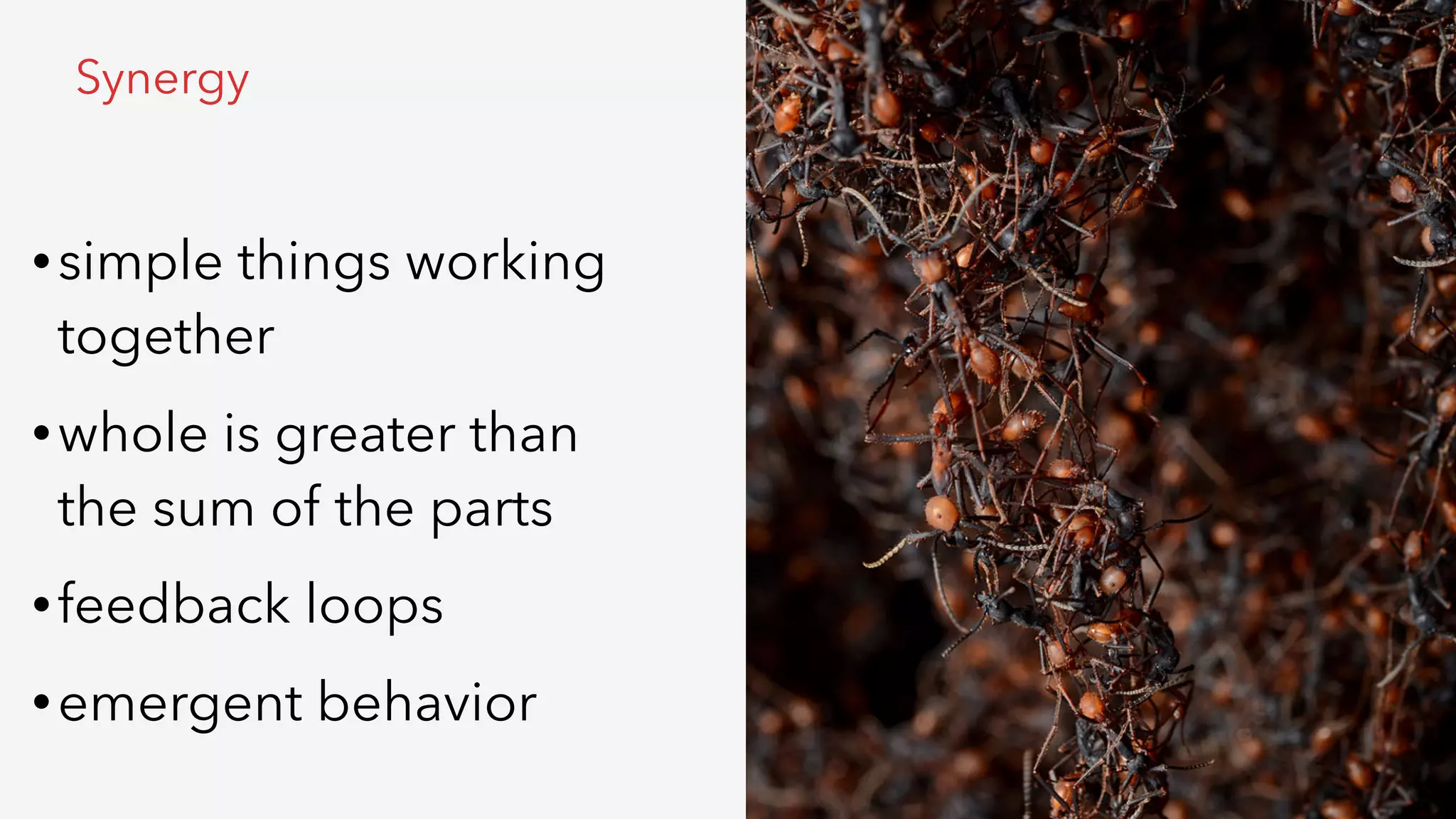 •simple things working
together
•whole is greater than
the sum of the parts
•feedback loops
•emergent behavior
Synergy
 