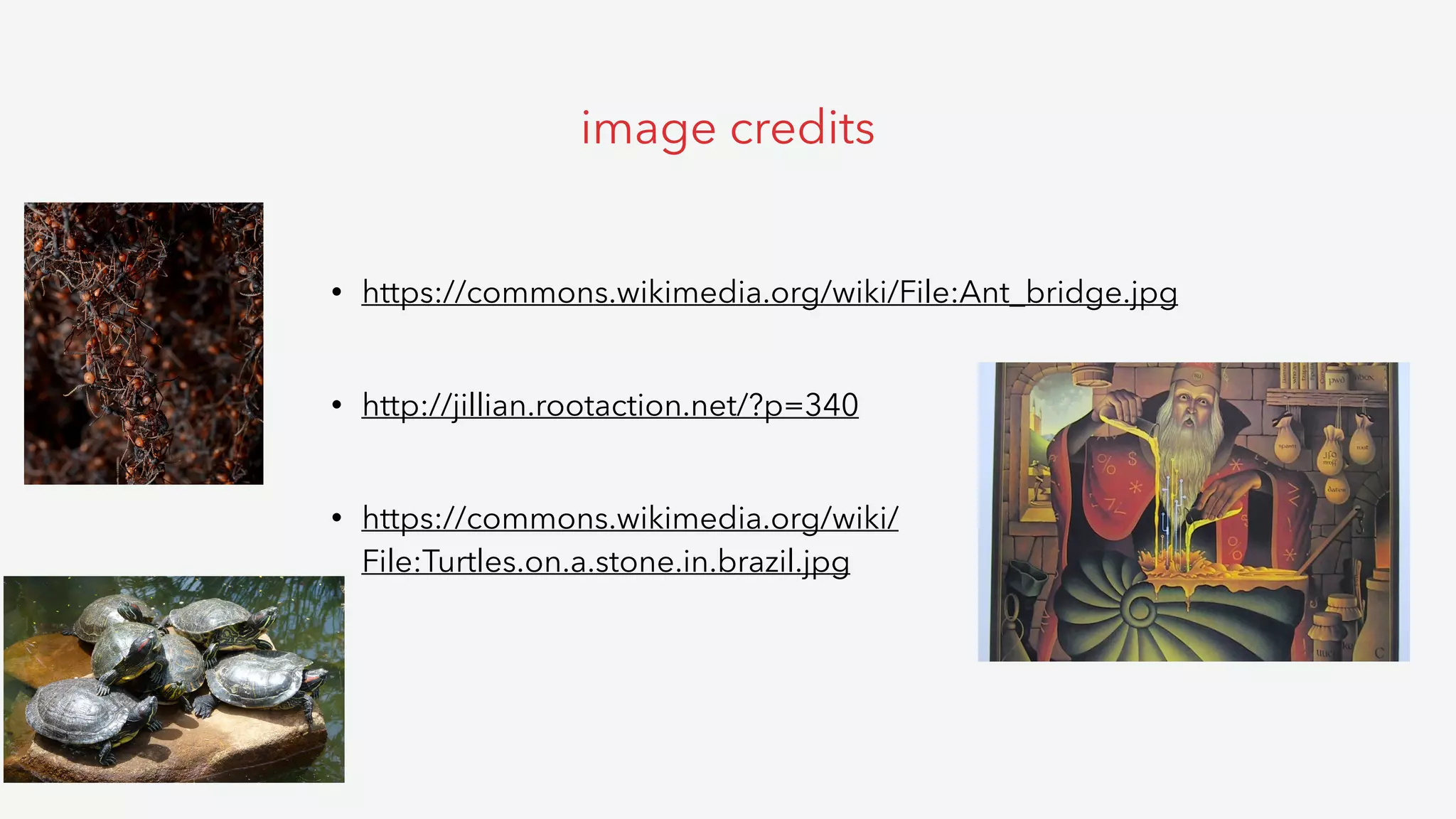 • https://commons.wikimedia.org/wiki/File:Ant_bridge.jpg 
• http://jillian.rootaction.net/?p=340 
• https://commons.wikimedia.org/wiki/
File:Turtles.on.a.stone.in.brazil.jpg
image credits
 