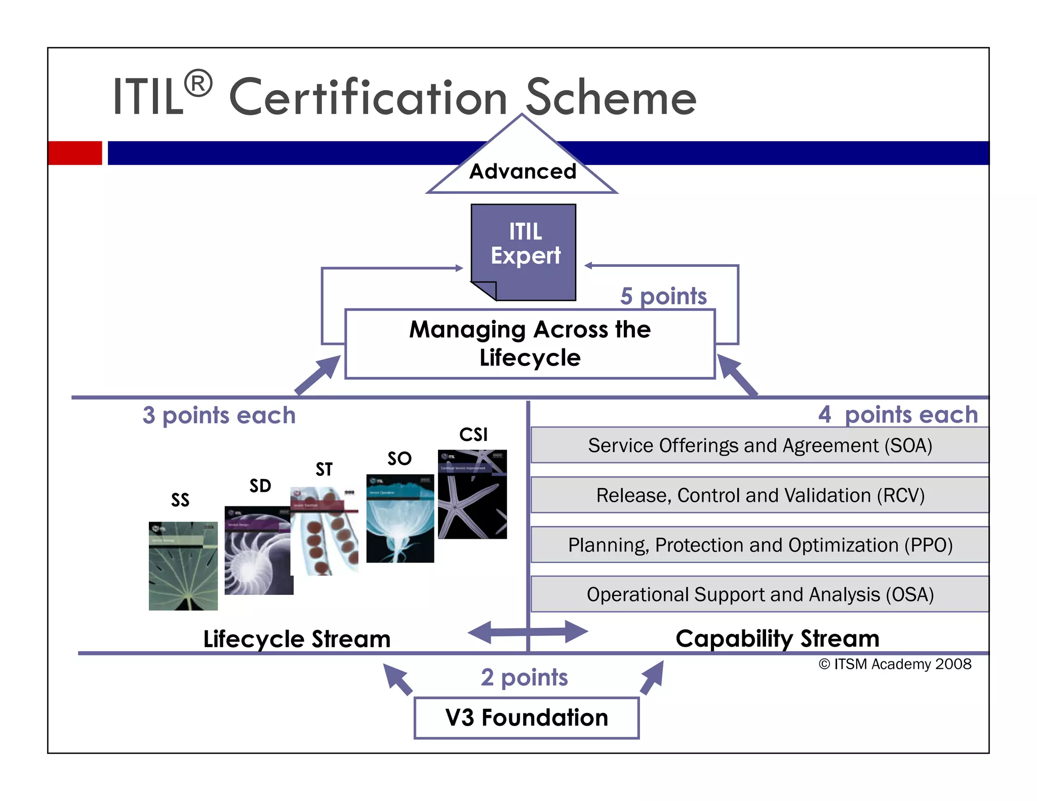 ITIL® Certification Scheme
                                Advanced

                                       ITIL
                                     Expert
                                     E      t
                                            5 points
                           Managing Across the
                               Lifecycle
                               Lif    l

 3 points each                                                             4 points each
                               CSI
                                                  Service Offerings and Agreement (SOA)
                       SO
                 ST
           SD
   SS                                              Release, Control and Validation (RCV)

                                                Planning, Protection and Optimization (PPO)
                                                  a    g, otect o a d Opt       at o ( O)

                                                  Operational Support and Analysis (OSA)

        Lifecycle Stream                                   Capability Stream
                                                                            © ITSM Academy 2008
                                 2 points
                             V3 Foundation
 