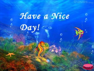 Have a Nice Day! 