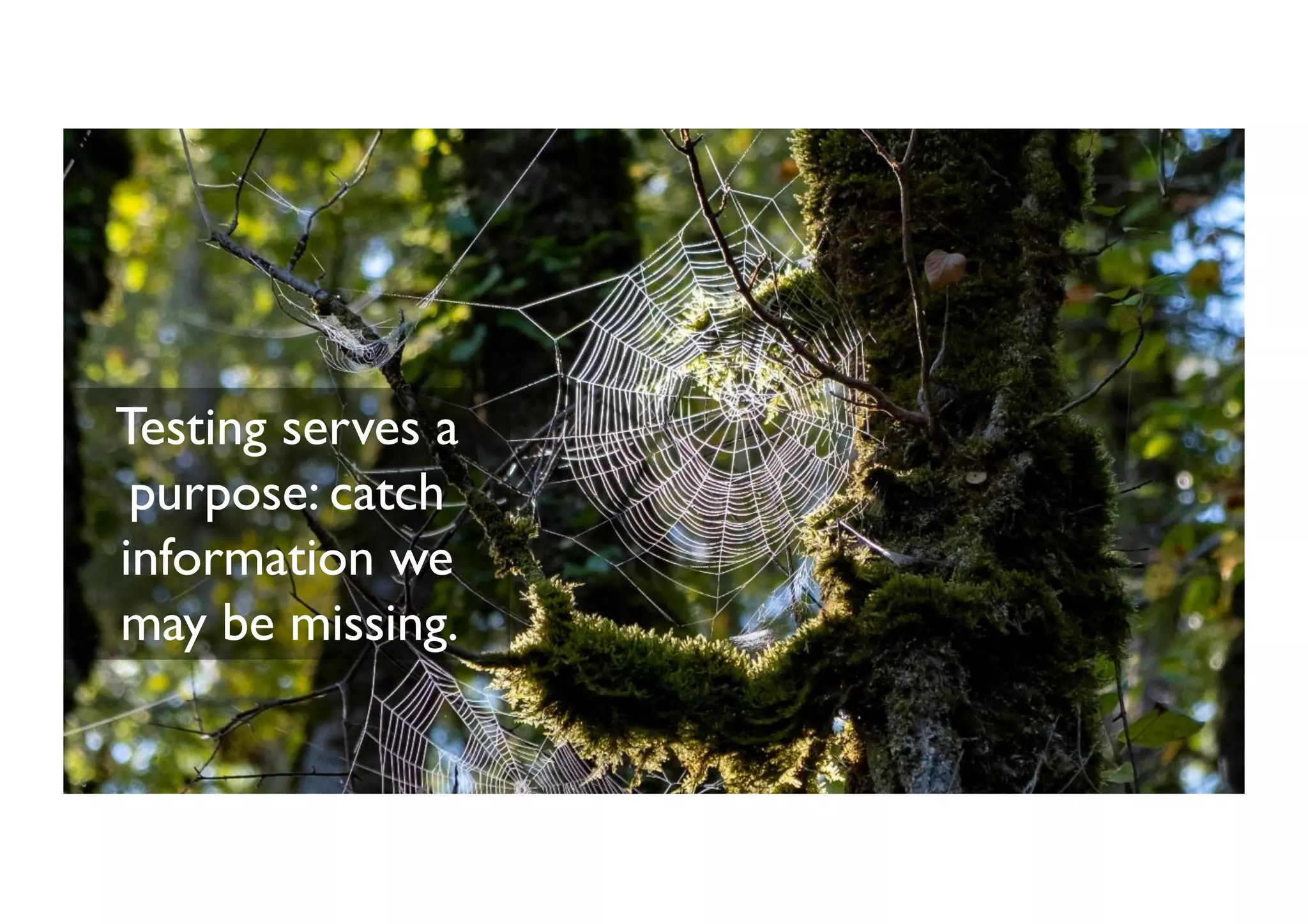 @maaretp
Testing serves a
purpose: catch
information we
may be missing.
 