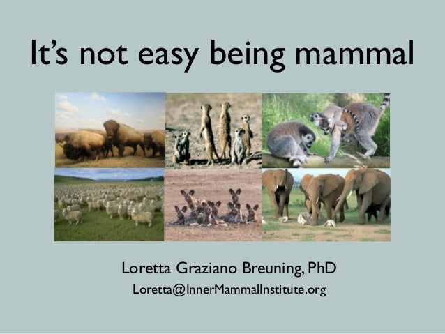 It’s not easy being mammal
Loretta Graziano Breuning, PhD
Loretta@InnerMammalInstitute.org
 