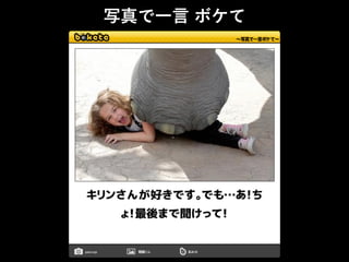 写真で一言 ボケて
 