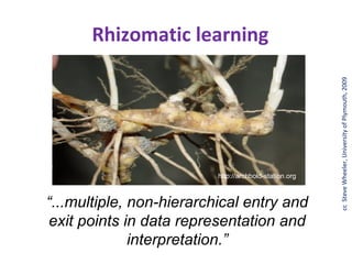 Rhizomatic learning




                                                        cc Steve Wheeler, University of Plymouth, 2009
                          http://archbold-station.org



“...multiple, non-hierarchical entry and
exit points in data representation and
              interpretation.”
 
