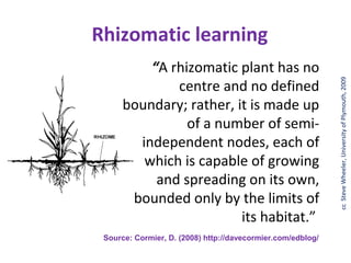 Rhizomatic learning
          “A rhizomatic plant has no




                                                             cc SteveWheeler, University of of Plymouth, 2008
              centre and no defined




                                                             © Steve Wheeler, University Plymouth, 2009
      boundary; rather, it is made up
                of a number of semi-
        independent nodes, each of
         which is capable of growing
           and spreading on its own,
       bounded only by the limits of
                         its habitat.”
 Source: Cormier, D. (2008) http://davecormier.com/edblog/
 
