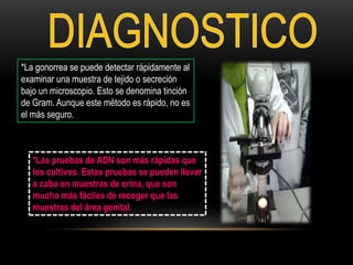 *La gonorrea se puede detectar rápidamente al
examinar una muestra de tejido o secreción
bajo un microscopio. Esto se denomina tinción
de Gram. Aunque este método es rápido, no es
el más seguro.
*Las pruebas de ADN son más rápidas que
los cultivos. Estas pruebas se pueden llevar
a cabo en muestras de orina, que son
mucho más fáciles de recoger que las
muestras del área genital.
 