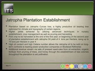 Jatropha Plantation Establishment
•    Plantation based on Jatropha Curcas tree, a highly productive oil bearing tree
     optimized for climate and topography of certain regions.
•    Higher yields achieved by utilizing advanced techniques in nursery
     establishment, crop management as well as pruning and harvesting
•    First crop to be harvested at the end of the first year, or beginning of the second year
     of plantation establishment with Jatropha Oil yield of 4 tons per Hectare, rising up to
     15 tons per Hectare in year 4
•    High oil content and high Cetane number allows the Jatropha oil to be sold on long-
     term contracts to leading power production companies or Biodiesel Refineries
•    Additional revenue stream via sale of pressed seed-cake from oil extraction, organic
     fertilizer from pruning of trees, and honey through the establishment of bee colonies
     throughout the plantation to aid pollination




Slide 10
 