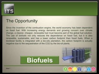 The Opportunity
Since the invention of the combustion engine, the world economy has been dependent
on fossil fuel. With increasing energy demands and growing concern over climate
change, a cleaner, cheaper, renewable fuel must become part of the global fuel solution.
The use of biofuels not only reduces the dependence on fossil fuel, but it is also
renewable, sustainable, and has a lower carbon footprint than fossil fuels. When a
biodiesel facility is integrated with a bio-oils plantation, the carbon footprint is actually
negative due to the sequestration of the CO2 by the bio-oil plants.




                      Biofuels
Slide 7
 
