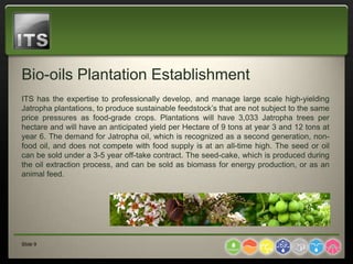 Bio-oils Plantation Establishment
ITS has the expertise to professionally develop, and manage large scale high-yielding
Jatropha plantations, to produce sustainable feedstock’s that are not subject to the same
price pressures as food-grade crops. Plantations will have 3,033 Jatropha trees per
hectare and will have an anticipated yield per Hectare of 9 tons at year 3 and 12 tons at
year 6. The demand for Jatropha oil, which is recognized as a second generation, non-
food oil, and does not compete with food supply is at an all-time high. The seed or oil
can be sold under a 3-5 year off-take contract. The seed-cake, which is produced during
the oil extraction process, and can be sold as biomass for energy production, or as an
animal feed.




Slide 9
 