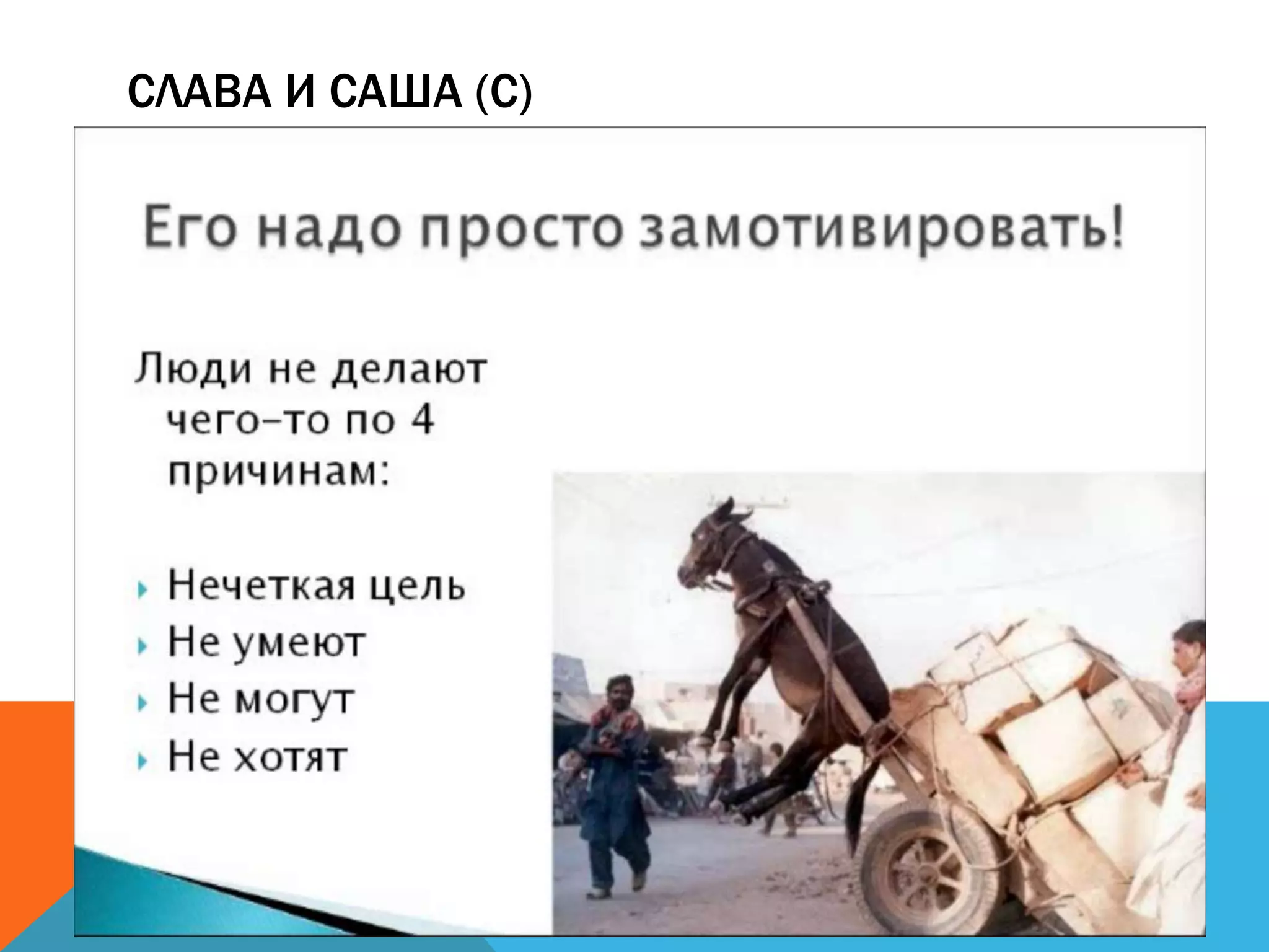 СЛАВА И САША (С)
 