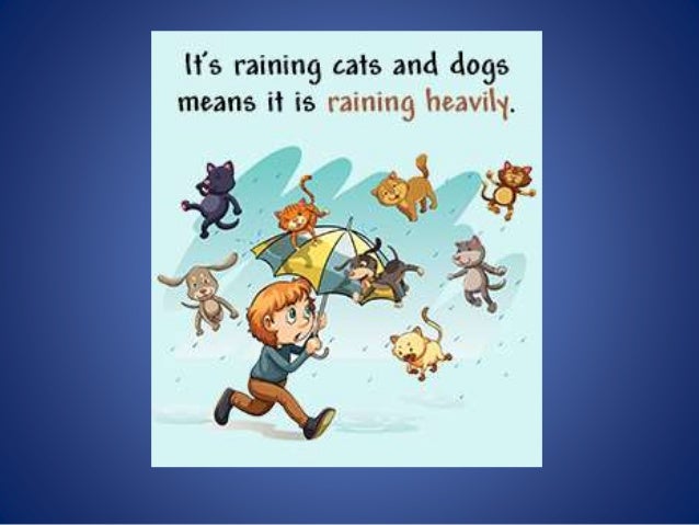 Its raining cats and dogs