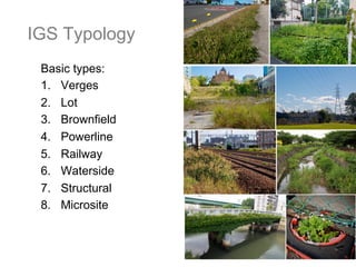 IGS Typology
Basic types:
1.  Verges
2.  Lot
3.  Brownfield
4.  Powerline
5.  Railway
6.  Waterside
7.  Structural
8.  Mic...